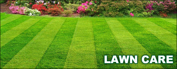 Wichita Lawn Care