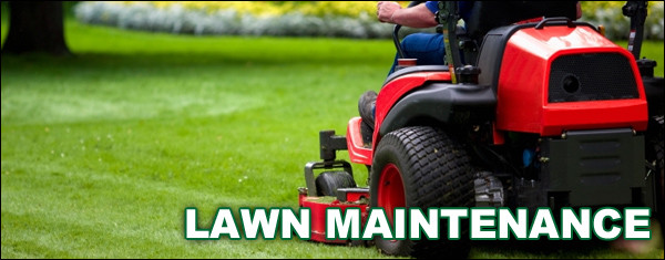 Wichita Lawn Maintenance